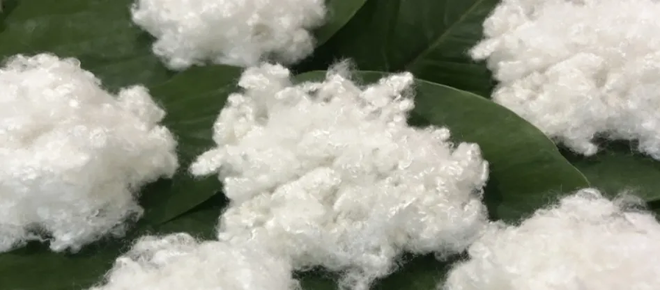 Är polyester en syntetfiber? Något du behöver veta